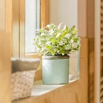 Nyaraló Kaminhaus 3 Mit Sauna Und Kamin *