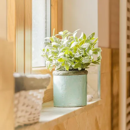 Hébergement de vacances Kaminhaus 3 Mit Sauna Und Kamin *