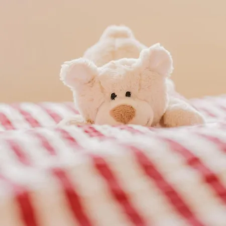 Kaminhaus 3 Mit Sauna Und Kamin