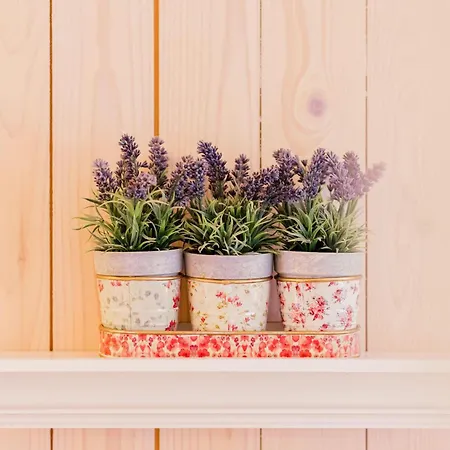 Kaminhaus 3 Mit Sauna Und Kamin Fehmarn