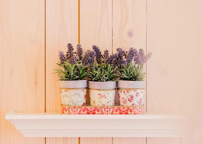 Kaminhaus 3 Mit Sauna Und Kamin Fehmarn