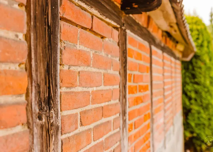 Kaminhaus 3 Mit Sauna Und Kamin Fehmarn