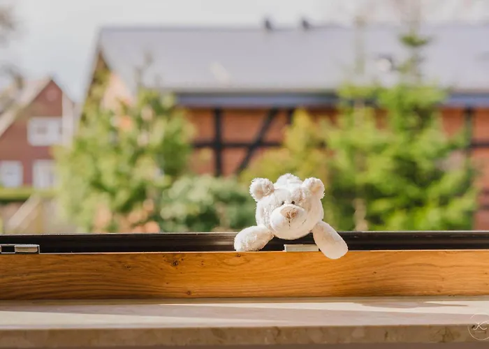 Kaminhaus 3 Mit Sauna Und Kamin * Fehmarn